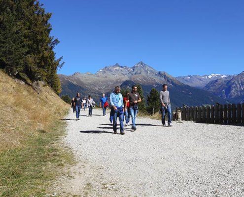 Zirmtagung bei der Firma Larix